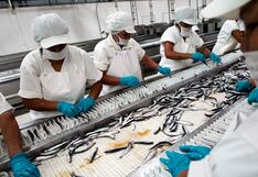 Las regiones con el mejor y peor mercado laboral: ¿cuáles son?