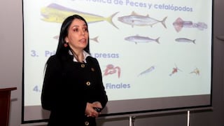 Los eufáusidos: La especie marina que supera en abundancia a la anchoveta en el mar peruano