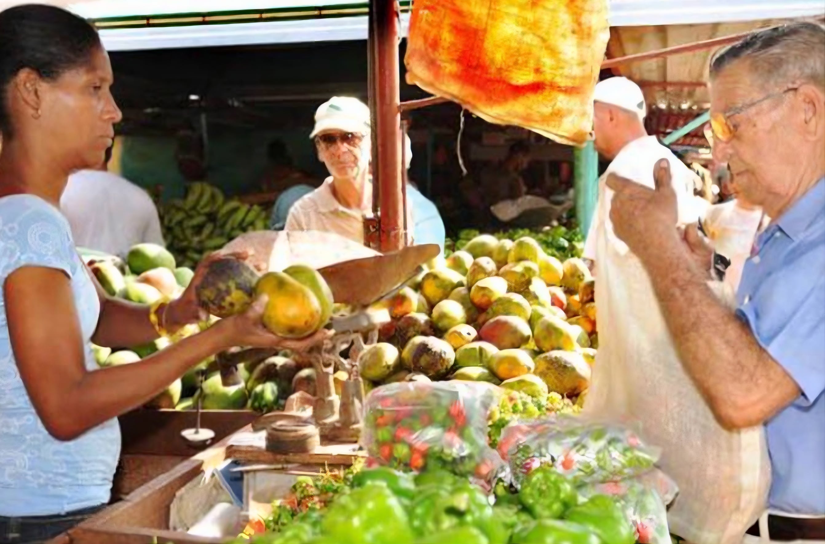 La producción agrícola en Cuba se redujo más del 50% entre 2018 y 2023. (Foto: Agencia Cubana de Noticias)