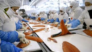 Disputa por salmón chileno alerta a firmas chinas en extranjero