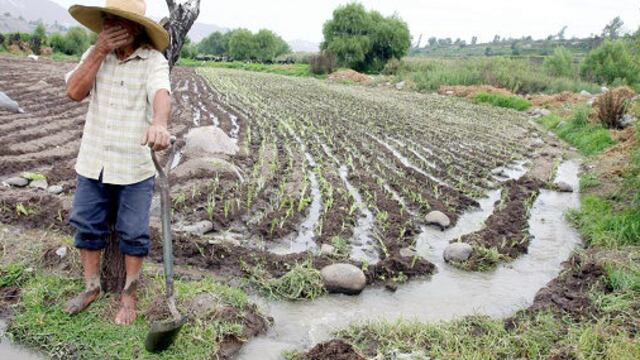 Pagarán deudas de más de 13,000 agricultores afectados por El Niño Costero