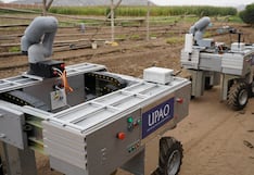 Robots peruanos en campaña agrícola: evitan hasta US$ 150,000 en pérdidas