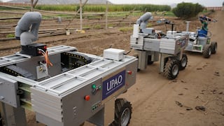 Robots peruanos en campaña agrícola: evitan hasta US$ 150,000 en pérdidas