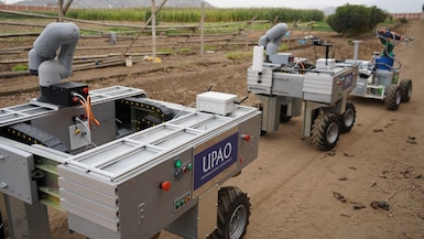 robot agricultura peru