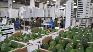 Perú vendió al mundo US$ 909 millones en productos agrícolas, ¿cuáles tuvieron más demanda?