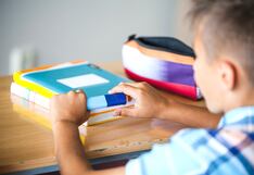 Indecopi: colegios no pueden exigir lista total de útiles escolares primer día de clases