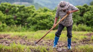 Conveagro propone fondo de financiamiento para agricultores pues no podrán acceder a Reactiva Perú
