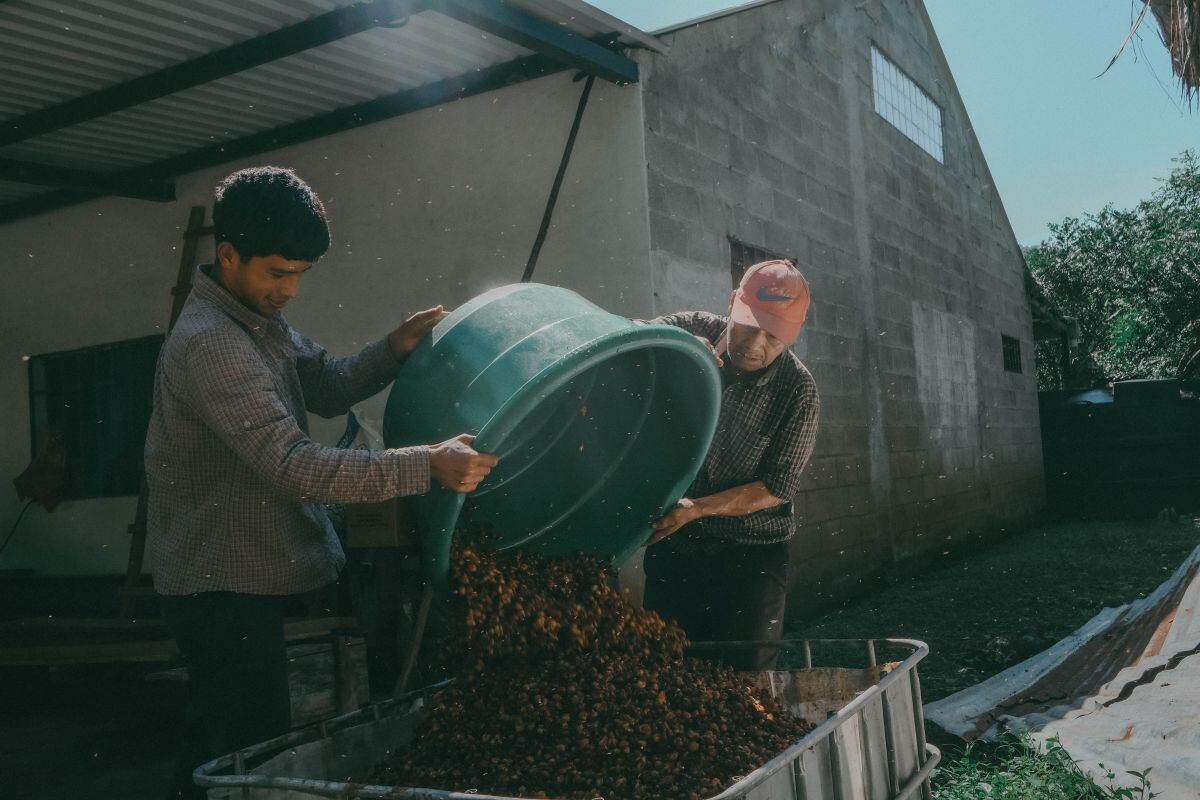 Workers during the processing of coffee cherries at at a farm in Tepecoyo. Photographer: Carlos Barrera/Bloomberg
