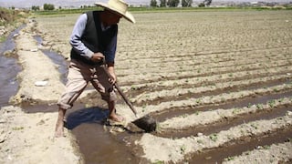 ProInversión retoma proyecto para riego de cultivos en Lambayeque