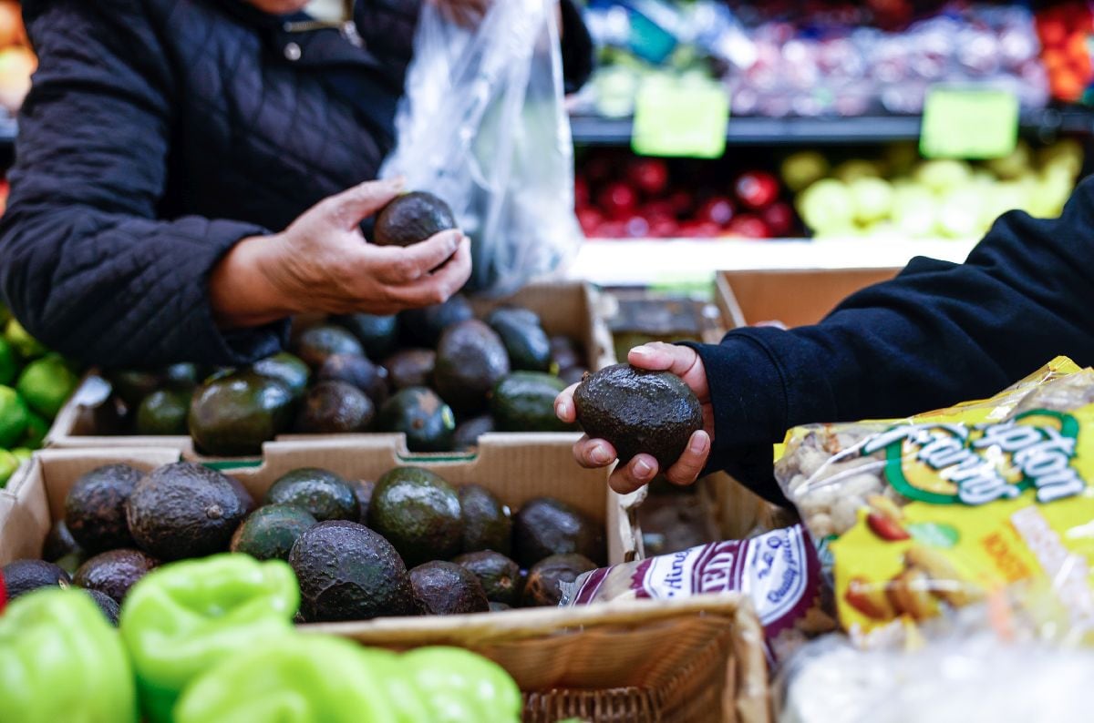 Shoppers select avocados inside a grocery store in the Bronx borough of New York, US, on Friday, Oct. 24, 2025. The political firestorm over the looming cutoff in food-aid funding intensified Thursday as lawmakers from both parties sounded alarms and some states warned retailers of its consequences. Photographer: Kena Betancur/Bloomberg