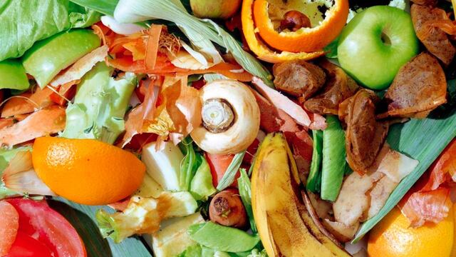 ¿Qué alimentos se desperdician más en el mundo?