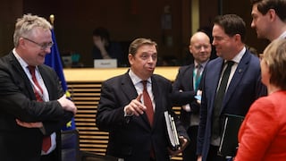 España: acuerdo con Mercosur es “estratégico” para la UE y una “necesidad comercial”