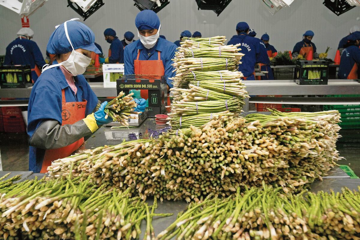 La población con empleo adecuado aumentó en 5.5% en trimestre abril-junio. FOTO: GIANCARLO SHIBAYAMA / EL COMERCIO