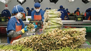 Empleo con ingresos que no cubren la canasta básica en su pico más alto del año