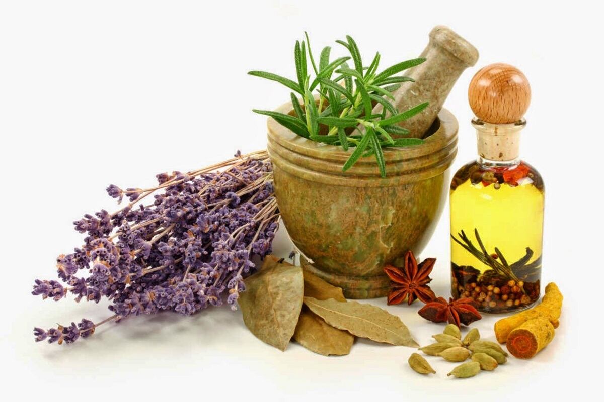 La flora amazónica, es una de las mayores reservas de recursos fitoterapéuticos del Perú. (Foto: Andina)