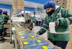 Exportar desde Perú cuando el mundo no produce: las sorpresas del agro en 9 cultivos