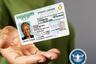 De esta manera puedes reconocer una licencia de conducir Real ID