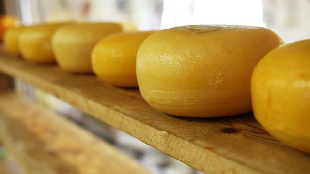 Cuatro de cada 10 plantas de elaboración de queso cerraron por caída de ventas  