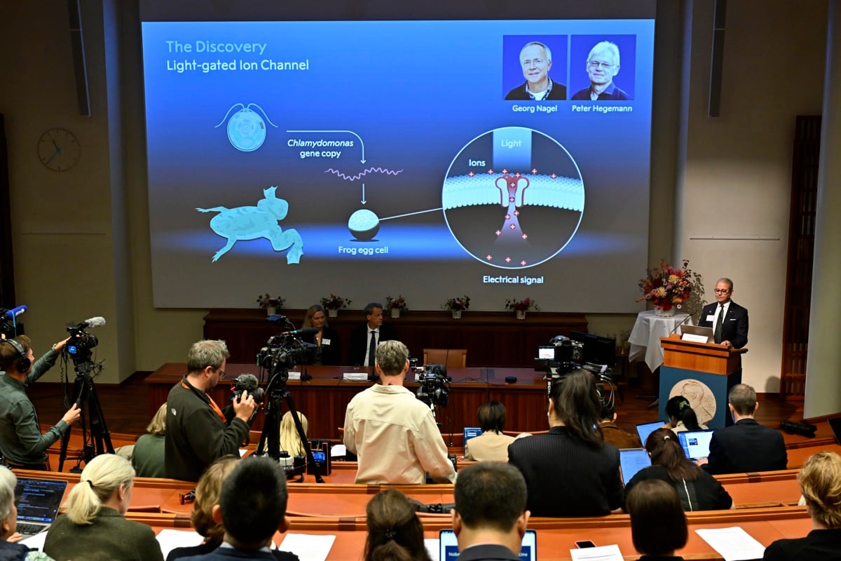 El Premio Nobel de Fisiología o Medicina de 2026 fue concedido conjuntamente a Karl Deisseroth, Peter Hegemann y Georg Nagel «por sus descubrimientos sobre los canales iónicos activados por luz y la optogenética», según el Comité Nobel. (Estocolmo, Suecia) EFE/EPA/PONTUS LUNDAHL