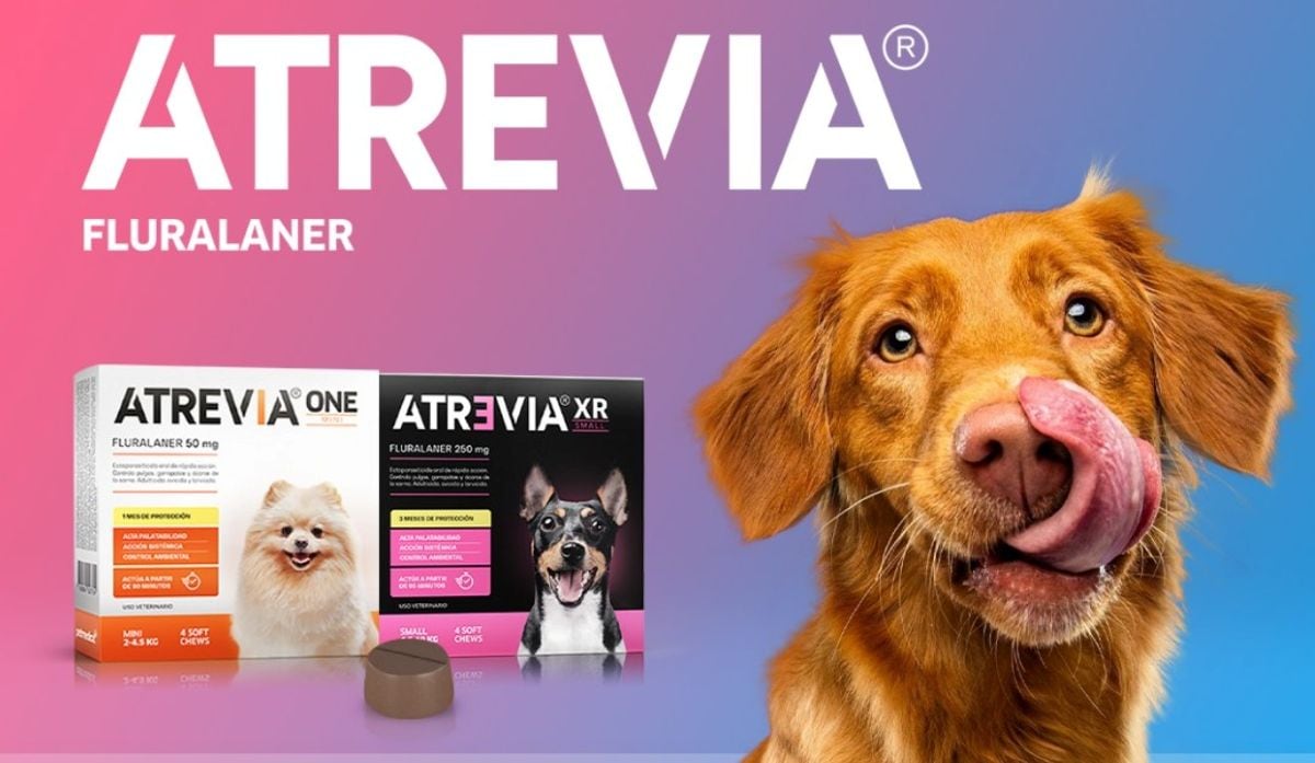 Atrevia, la línea estrella de antiparasitarios de Agrovet Market, ya representa el 22% de su facturación y está registrada en 14 países. Foto: Instagram.