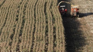 Familia de ministro de Agricultura de Brasil se beneficia de subsidios al maíz