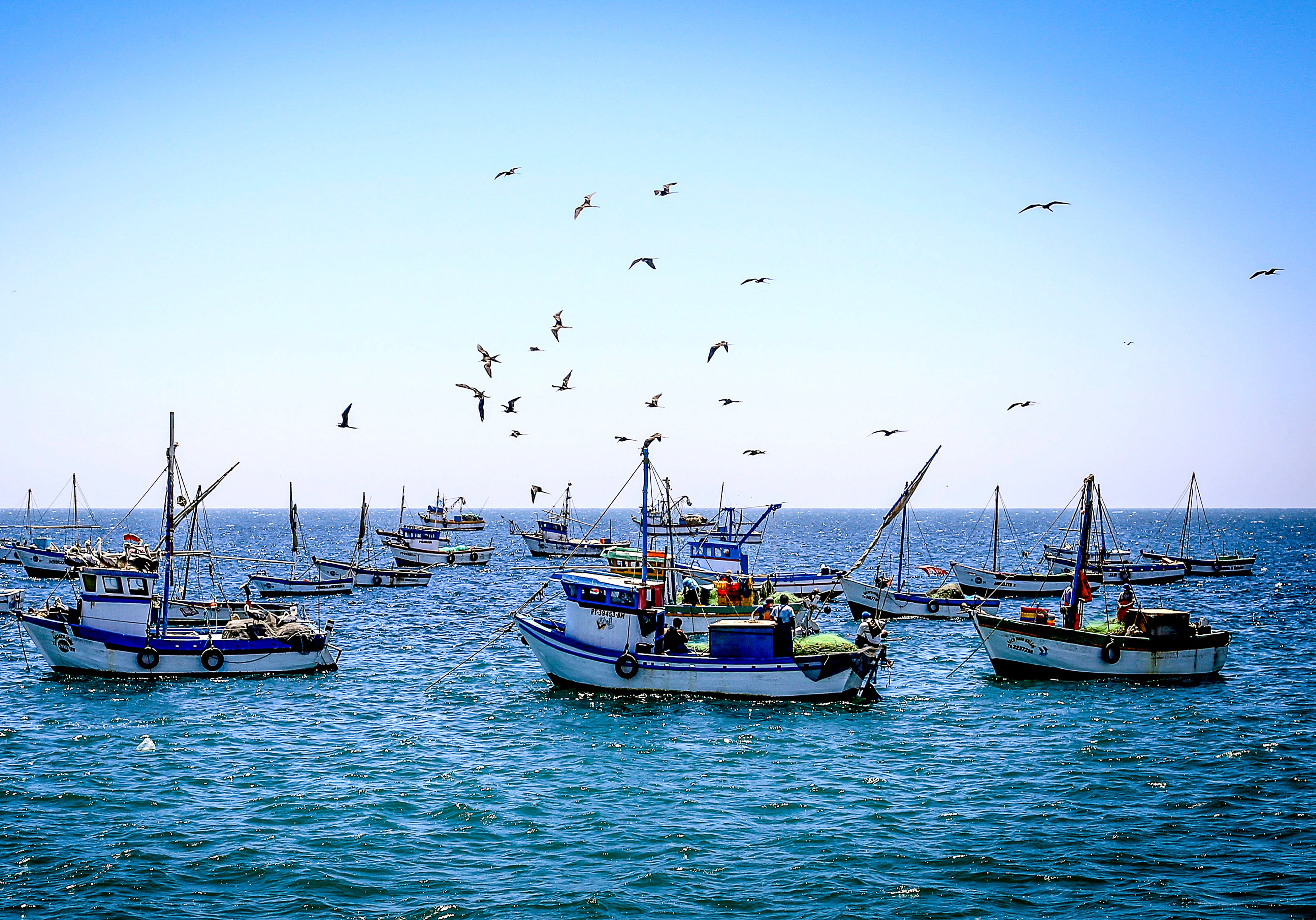 Gobierno dio algunos detalles de la nueva política pesquera aprobada. (Fuente: Sanipes)