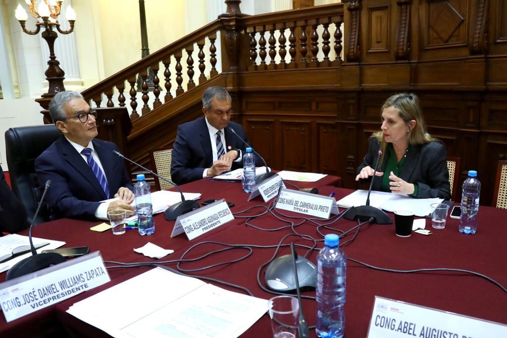 Alejandro Aguinaga manifestó que el funcionario de las Naciones Unidas debe irse del país y ser declarado persona no grata. foto: Congreso.