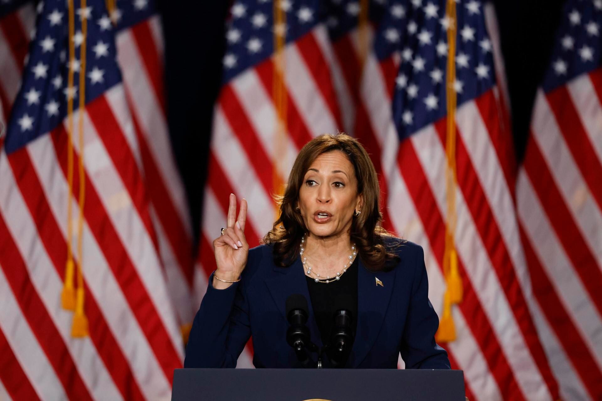 La vicepresidenta estadounidense Kamala Harris habla durante un evento de campaña en West Allis, Wisconsin, EE.UU., 23 de julio de 2024. EFE/EPA/JEFFREY PHELPS