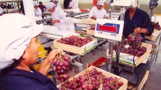 Exportación de uvas llegaría a récord de US$ 600 millones en próxima campaña