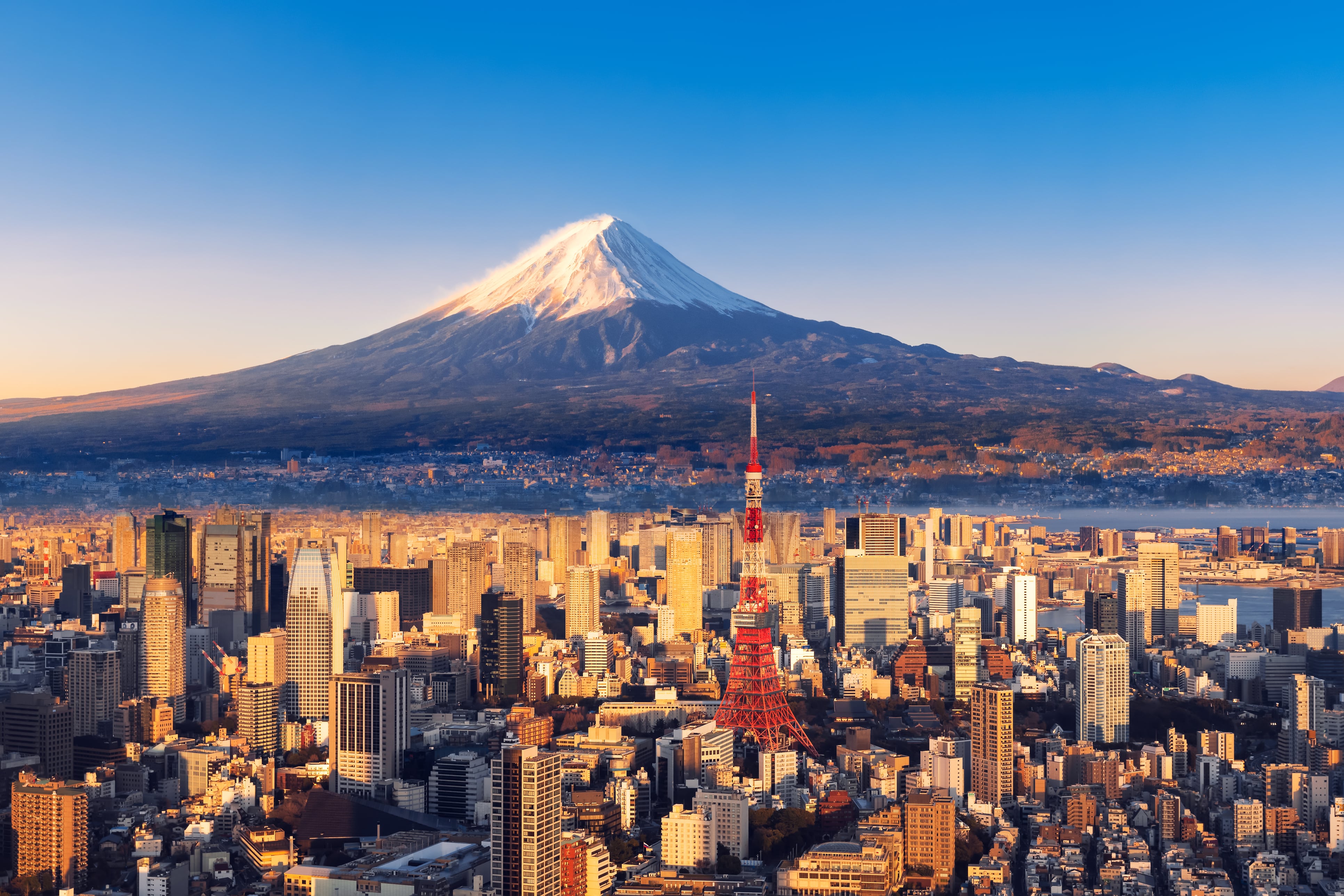 Política migratoria japonesa se endurece. Desde el 2027 se exigirá un dominio intermedio del idioma local. Foto: istock