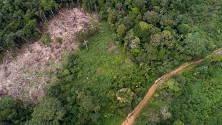 Deforestación de la Amazonía, una epidemia ambiental en silencioso auge