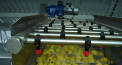 Firma de los Añaños aterriza con inversión en Barranca: las líneas de negocio que aumentarán