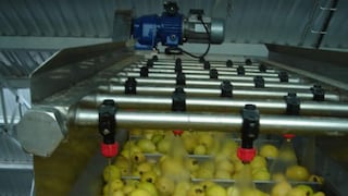 Firma de los Añaños aterriza con inversión en Barranca: las líneas de negocio que aumentarán