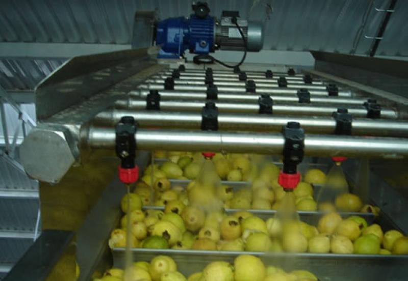 Ajeproceso alista proyecto en su planta de Barranca. (Foto: Agraria).