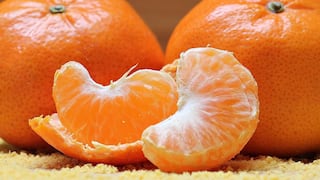 Sunfruits espera retomar volumen de cítricos en 2024 tras sumar hectáreas