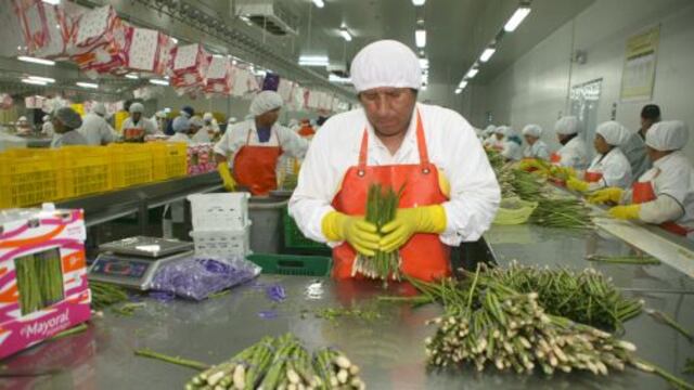 Exportaciones agrarias sumaron US$ 4,427 millones en el 2013