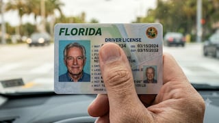 Florida cambiará las licencias desde julio: qué trae la ley HB 991 y qué significa para los inmigrantes