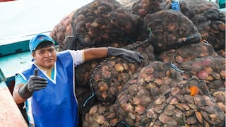 El Niño: Fondepes suspenderá pagos de créditos a maricultores que recibieron préstamos en 2025