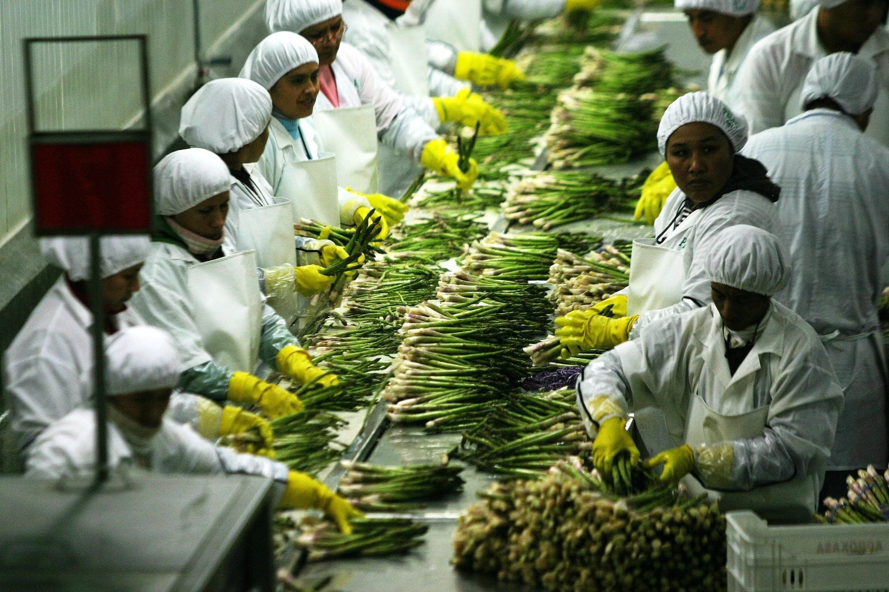Según el Midagri, existe interés de empresas agroexportadoras de Perú y Chile para ir juntas a otros mercados. Foto: Andina