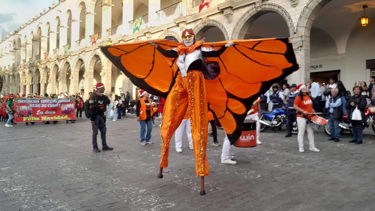 Navidad y vía pública: los riesgos para las marcas entre cambio de funciones y permisos municipales | Foto: Fanny Arotaipe.