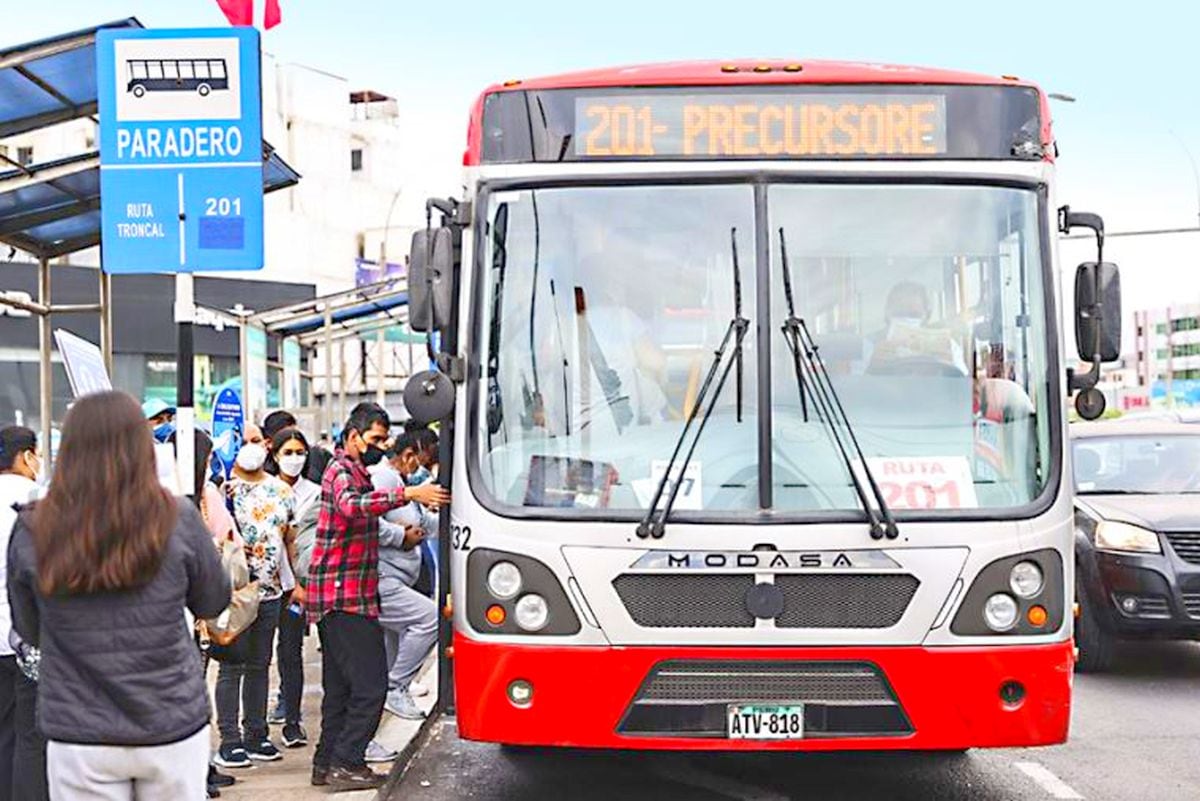 Paradero de corredores complementarios. (Foto: Difusión)