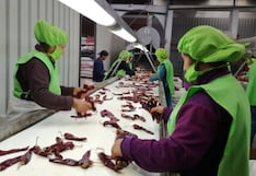 Ecuatoriana Pizca Foods sumará líneas para nuevas presentaciones de ajíes y pimientos