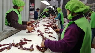 Ecuatoriana Pizca Foods sumará líneas para nuevas presentaciones de ajíes y pimientos