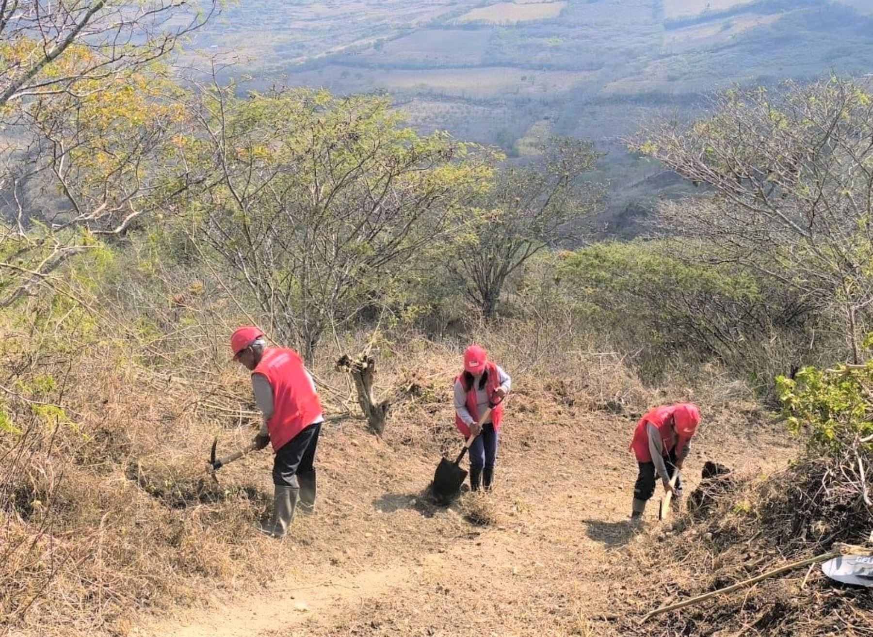 Obras en Amazonas generará nuevos empleos. Foto: Andina.