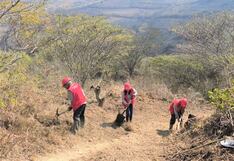 Obras en Amazonas por más de S/ 4 millones crearán 350 empleos temporales