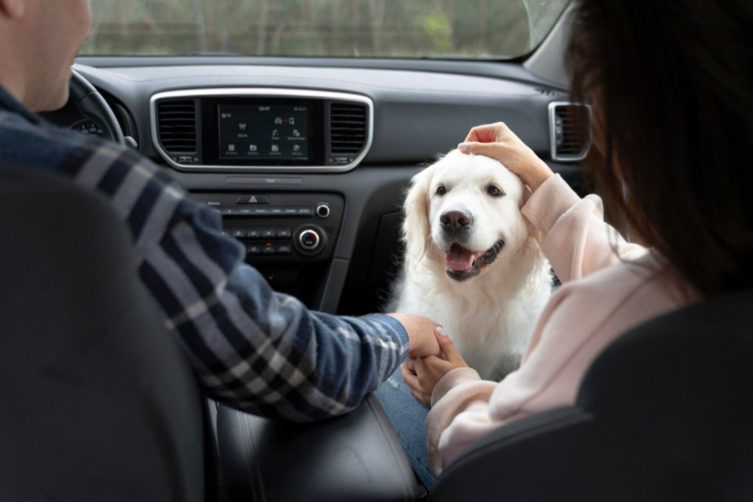 Las multas pueden imponerse a los conductores en caso la mascota generen una distracción. (Crédito: Magnific / Imagen referencial)