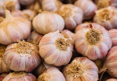 Precio del ajo, ¿por qué aún no baja en los mercados minoristas?