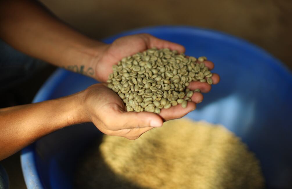 Perú es una potencia exportadora de café, pero no de la forma que la mayoría consume cada mañana. (Foto: Pexels)