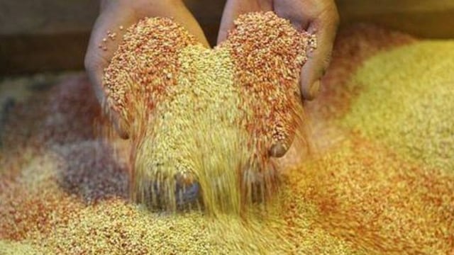 Minagri: Exportaciones de quinua de Perú sumarán US$ 200 millones este año