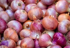 Mincetur destaca reapertura del mercado ecuatoriano para la cebolla peruana